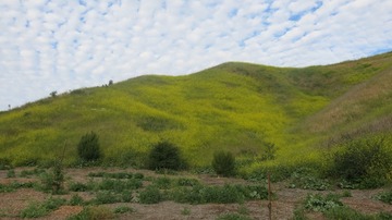 IMG_4080