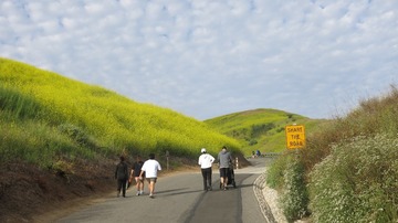 IMG_4087