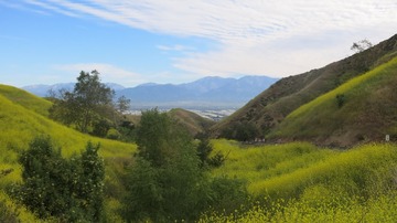 IMG_4162