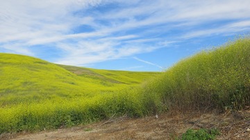 IMG_4134
