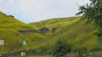 IMG_4079