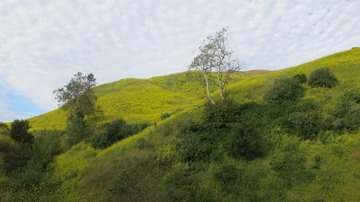 IMG_4105