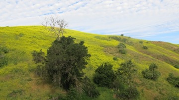 IMG_4106