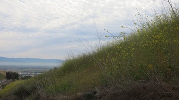 IMG_4187