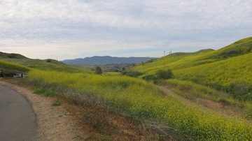 IMG_4144