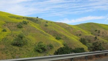 IMG_4171