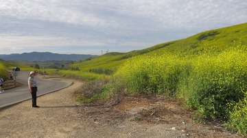 IMG_4139