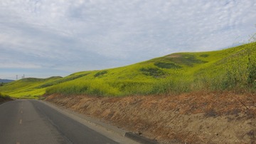 IMG_4128