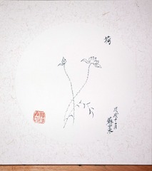 DP3Q0001