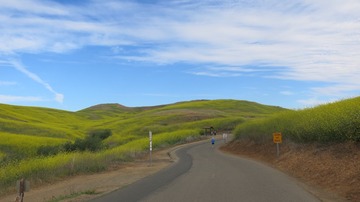 IMG_4151