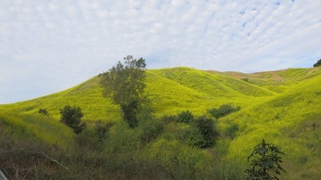 IMG_4108