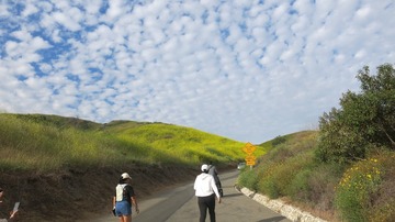 IMG_4086