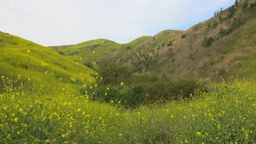 IMG_4198
