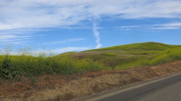 IMG_4160