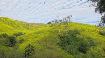 IMG_4109