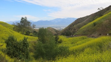 IMG_4164