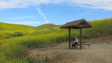 IMG_4156