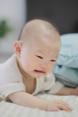 E80541D9-24FF-4431-ABFB-6305C5F6EEE2/L0/001