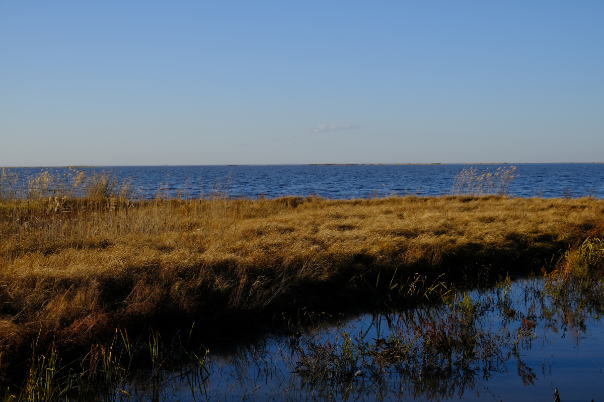 秋色·小兴凯湖