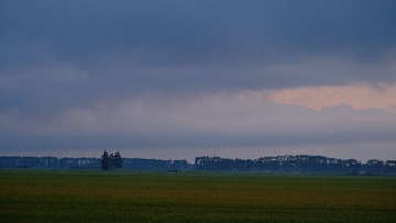 754585