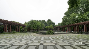 1406491