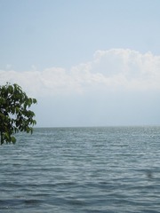 681A09AC-3CC6-4D00-9740-60DAE12A4A97/L0/001