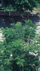 1304C0AF-96B6-41B0-8B2C-C3AD37F0E355/L0/001