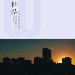 1267637