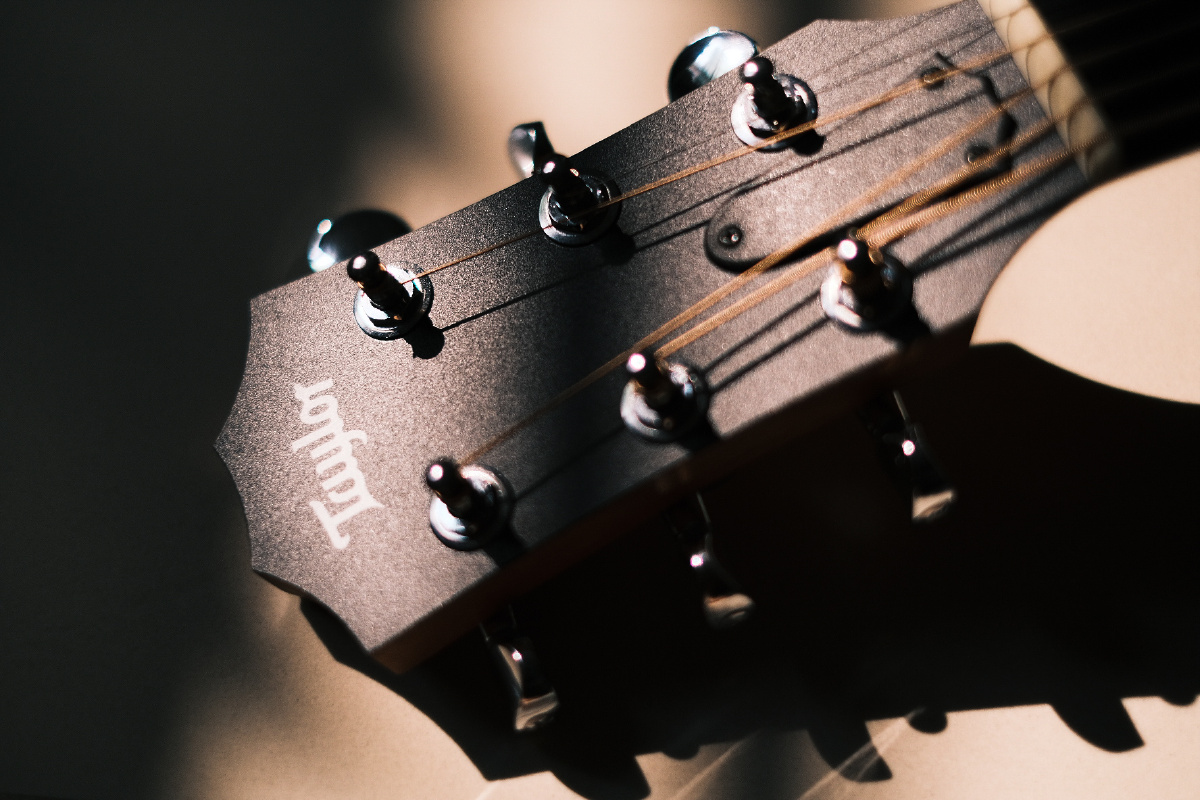 光影下的泰勒吉他