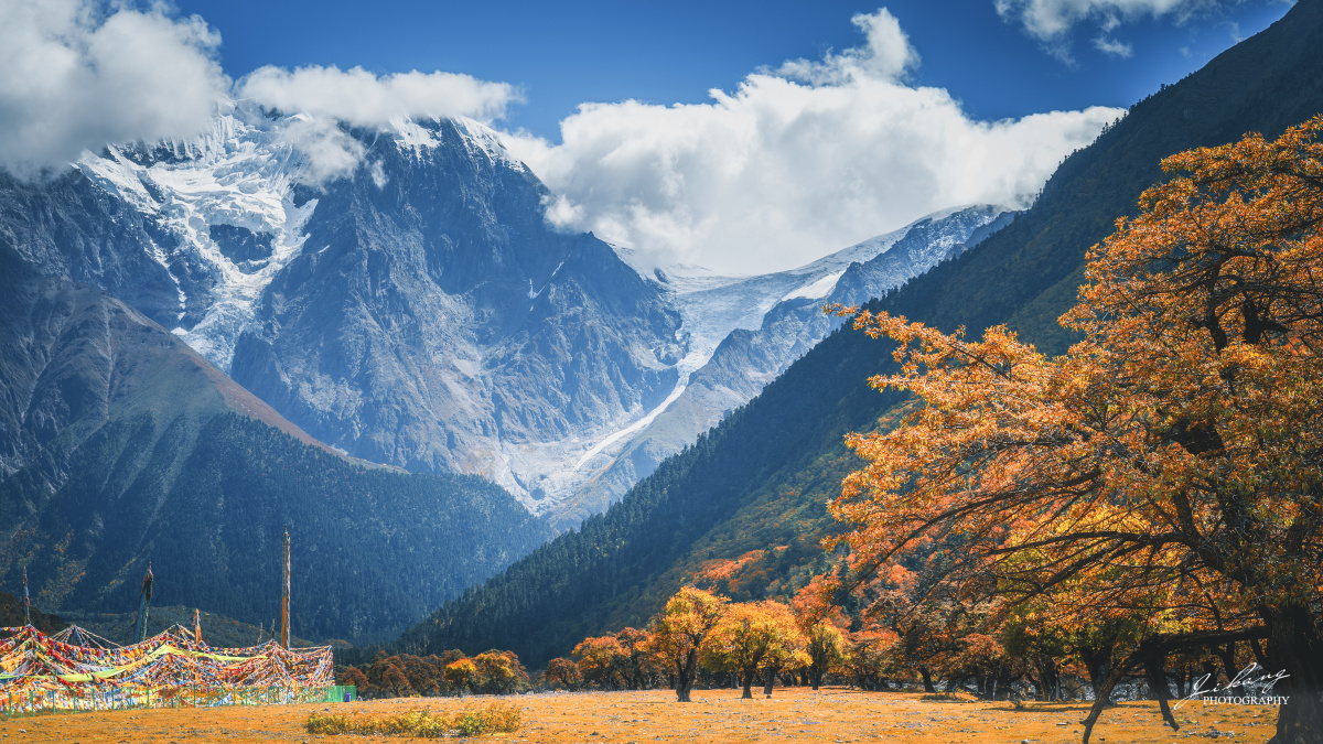 丙察察之秘境甲应村一