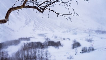 20171122-DSC07726