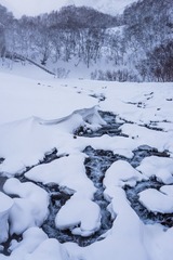 20171122-DSC07668