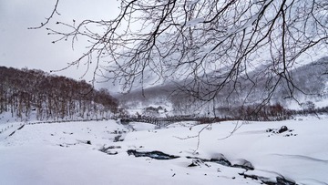20171122-DSC07678