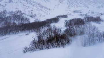20171122-DSC07728
