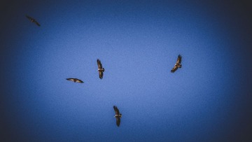 20180115-DSC09019