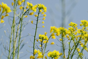 6B1CBDA4-DDC0-4354-994C-CB8DF1E99EF8/L0/001