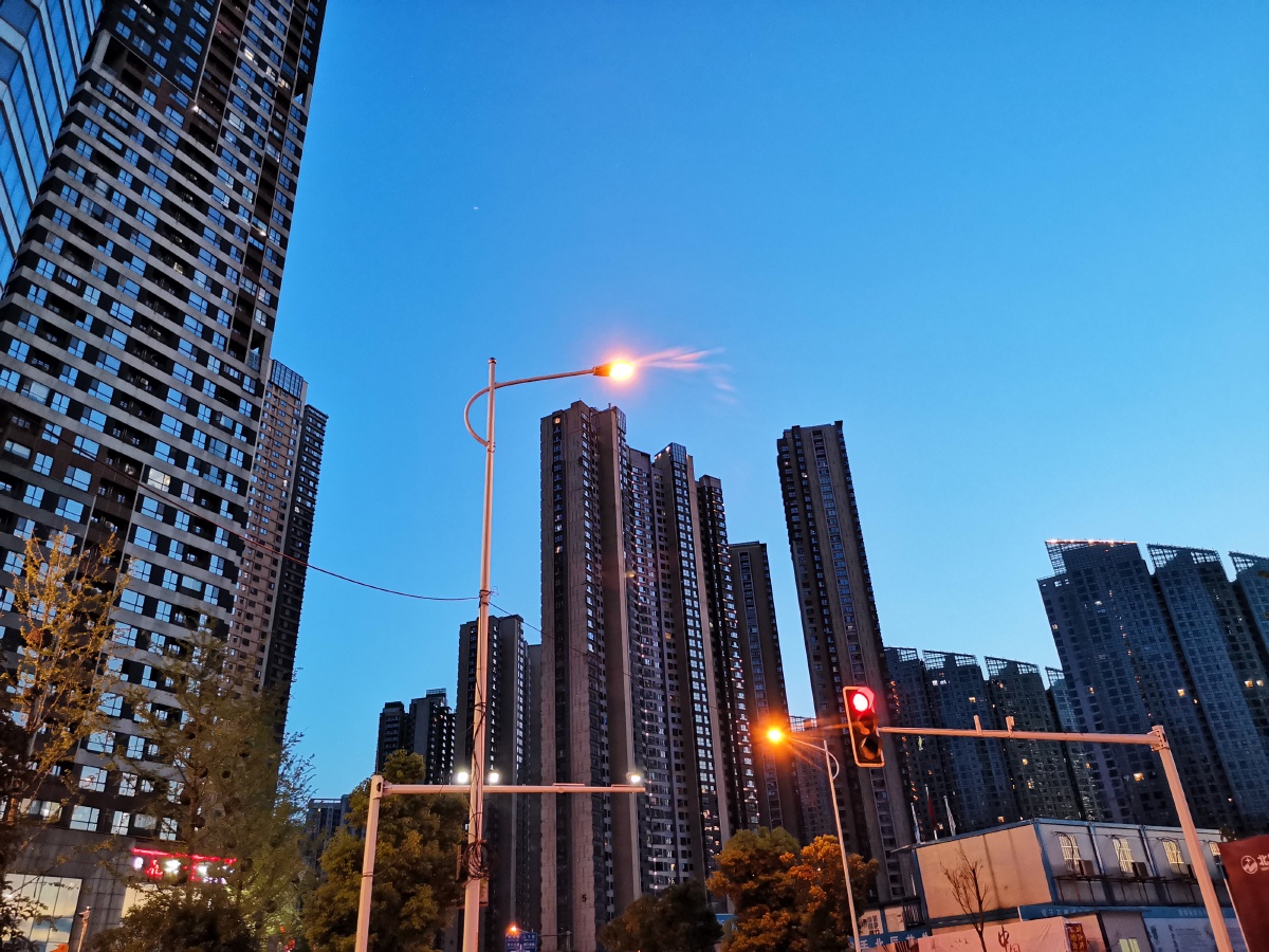 公司楼下的风景