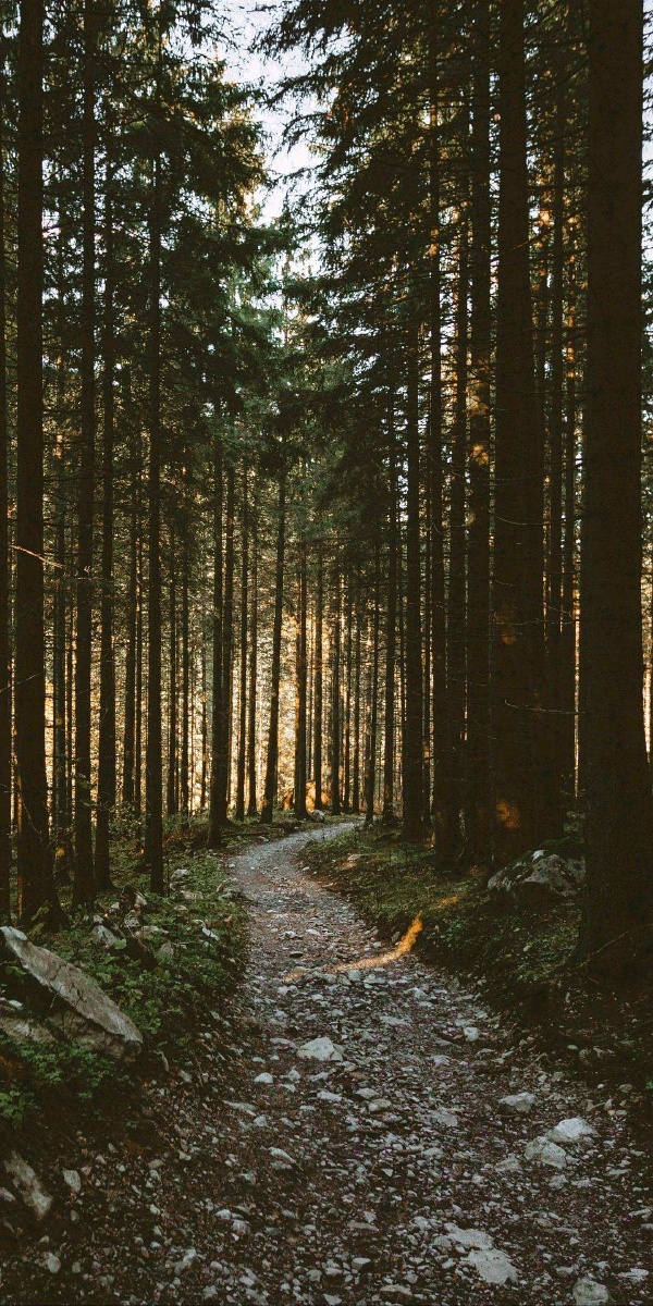 4k超清版壁纸贡献给大家