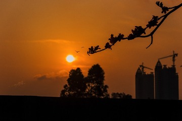 夕阳逐日红