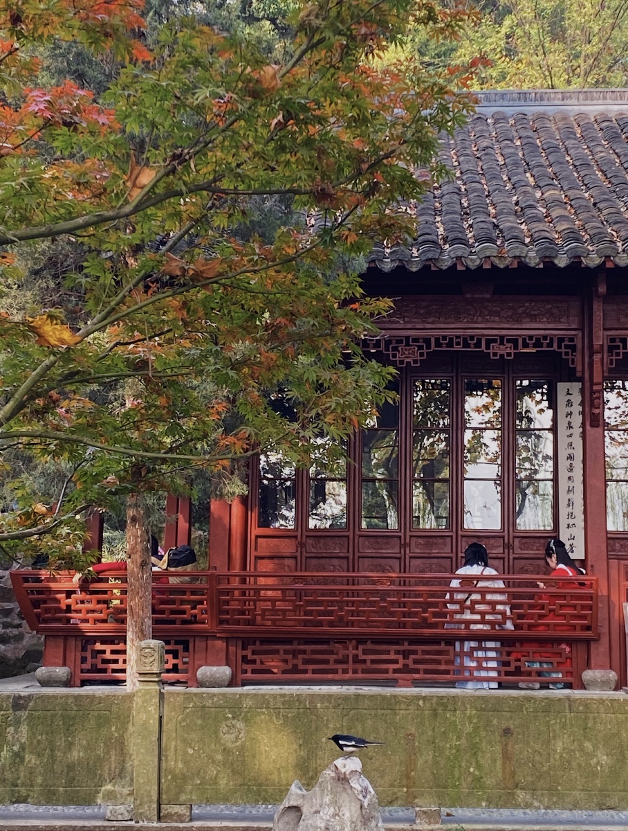 杭州西湖西泠印社