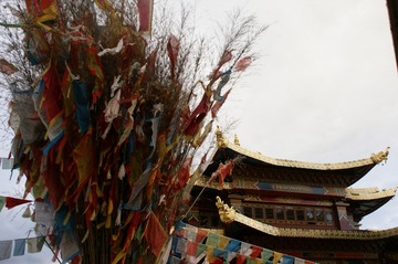 DSC02831-1