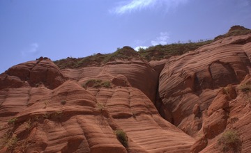 DSC00001-1