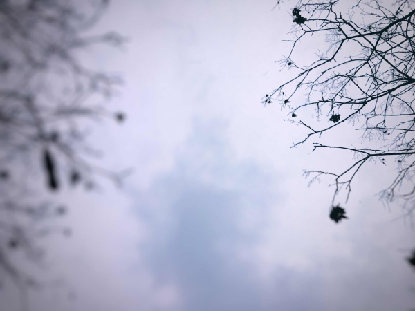 曲终人未散937的最新作品