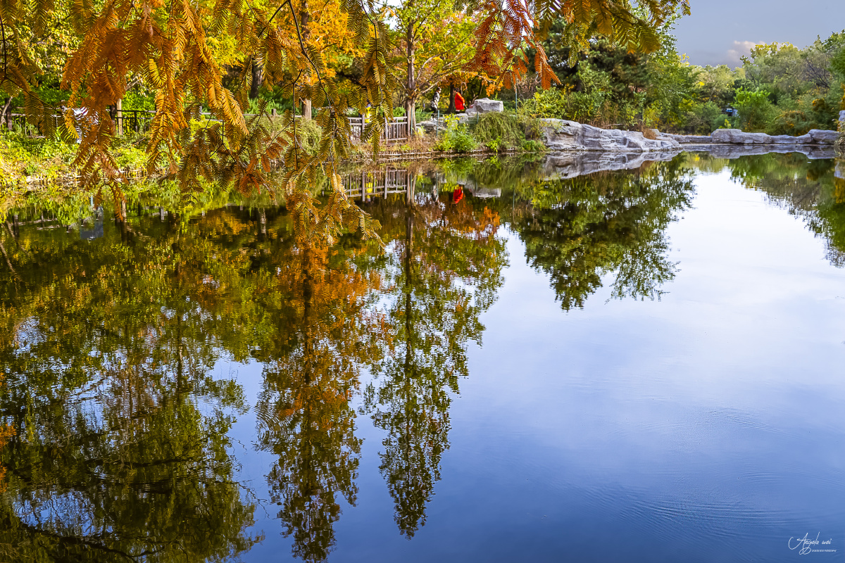 碧水长天共秋色
