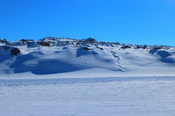 IMG_9650-01