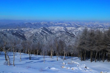 IMG_9651-01