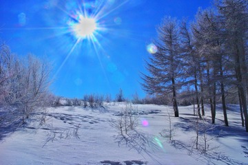 IMG_9617-01