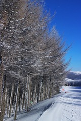 IMG_9641-01