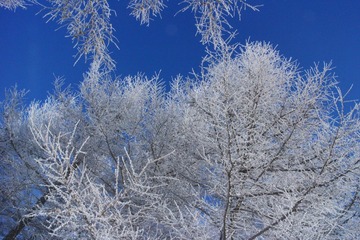 IMG_9616-01