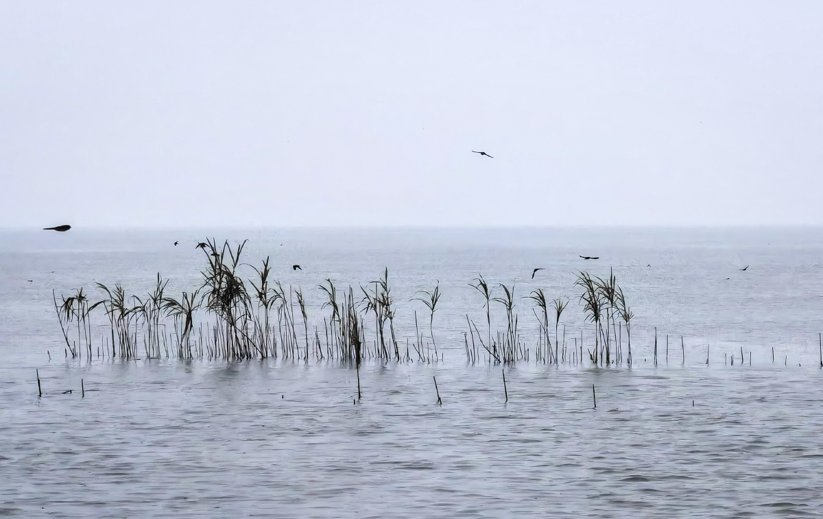 八月湖水平涵虚混太清气蒸云梦泽波撼岳阳城